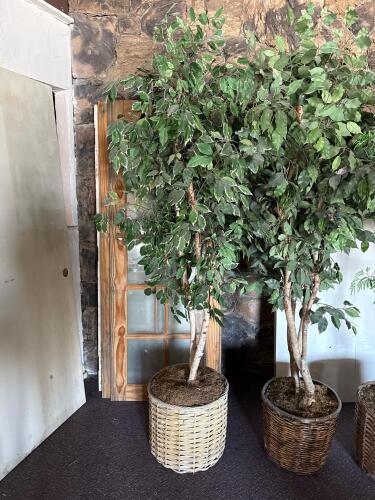 3 Large Artificial Indoor Trees - Ficus and Fern, 6 ft with Wicker Baskets, Realistic Foliage - 2