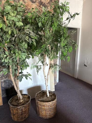 3 Large Artificial Indoor Trees - Ficus and Fern, 6 ft with Wicker Baskets, Realistic Foliage - 3