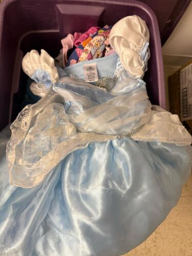 Large Mixed Womens, Young Women's, And Girls' Clothing Lot, Disney, OshKosh, Wrangler, Cat & Jack, Costumes, Jeans, Black Dress - 8