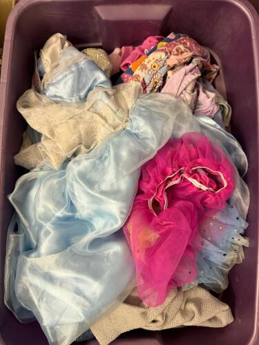 Large Mixed Womens, Young Women's, And Girls' Clothing Lot, Disney, OshKosh, Wrangler, Cat & Jack, Costumes, Jeans, Black Dress - 9