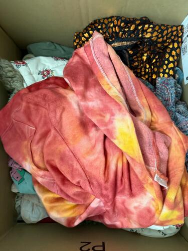 Large Mixed Womens, Young Women's, And Girls' Clothing Lot, Disney, OshKosh, Wrangler, Cat & Jack, Costumes, Jeans, Black Dress - 16