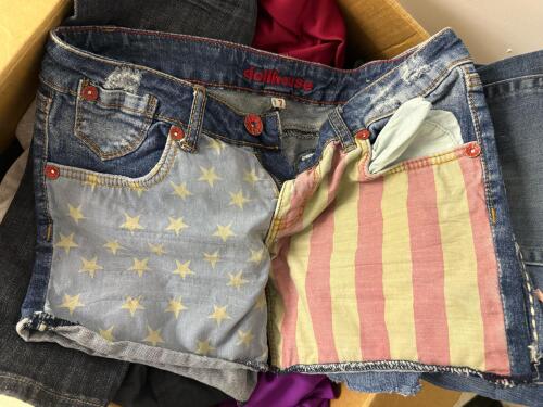 Large Mixed Womens, Young Women's, And Girls' Clothing Lot, Disney, OshKosh, Wrangler, Cat & Jack, Costumes, Jeans, Black Dress - 20