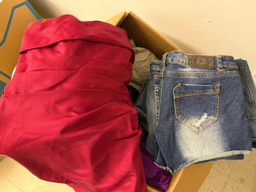 Large Mixed Womens, Young Women's, And Girls' Clothing Lot, Disney, OshKosh, Wrangler, Cat & Jack, Costumes, Jeans, Black Dress - 23